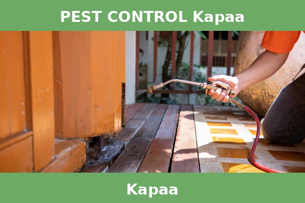 PEST CONTROL Kapaa